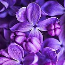 ���� ����, ������ - ��������� 27 ������ 2026 � ������ ������ ��������