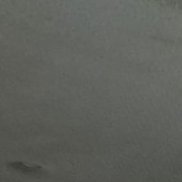 �������, 38 ���, ������