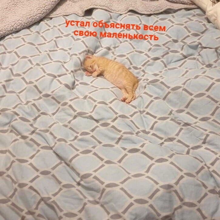    - 11  2024  16:13