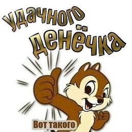 ��������, �����-���������, 41 ���