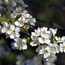 ���� �������, �����, 69 ��� - ��������� 28 ��� 2025 � ������ �������� �� ����� ����������������
