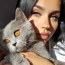 ���� �����, �������, 35 ��� - ��������� 8 ��� 2026 � ������ ���� ����������
