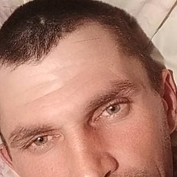 ������, �������, 39 ���