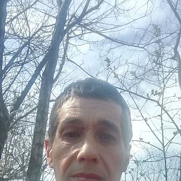 ������, �������, 55 ���