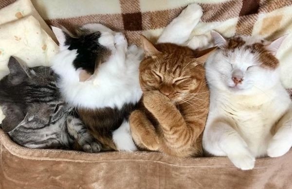   ?    4 ))) - 3