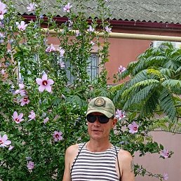 , 44, 