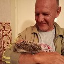 ���� ����, �������, 56 ��� - ��������� 26 ���� 2025 � ������ ���� ����������