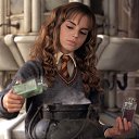 ���� Flower, ����������, 27 ��� - ��������� 24 ����� 2024 � ������ ������