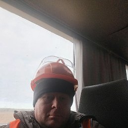 �������, 41 ���, ������