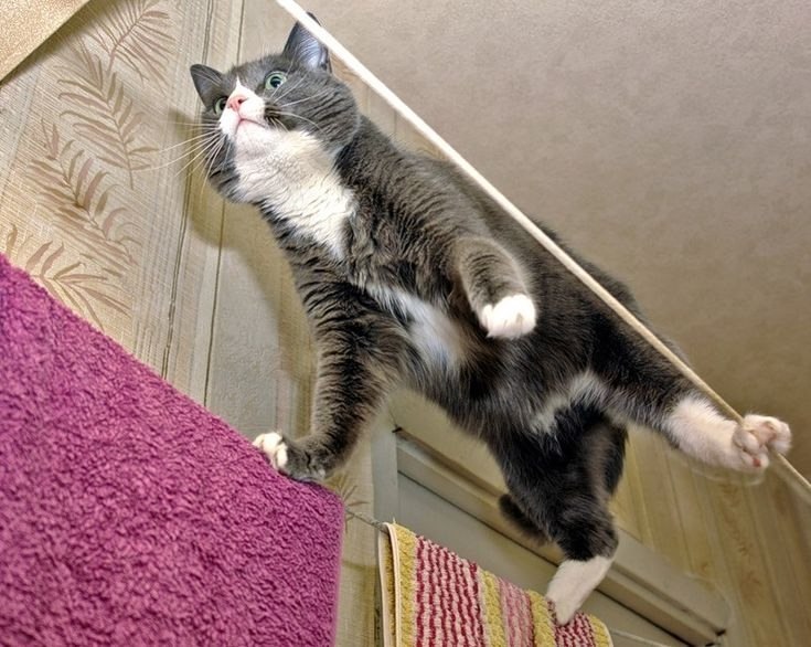 Геннадий - 8 сентября 2025 в 16:17