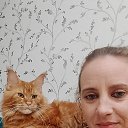���� Nata, ��������, 40 ��� - ��������� 10 ����� 2026 � ������ ���� ����������