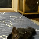 ���� Sergei, ������-��-���� - ��������� 17 ������ 2025