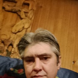 , 41, 