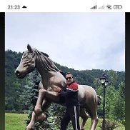 �������, 50 ���, ������