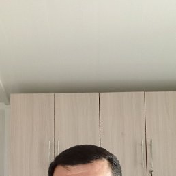 , 41, 