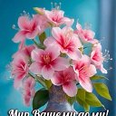 ���� �������&, ��������, 60 ��� - ��������� 25 ������ 2026 � ������ ���� ����������