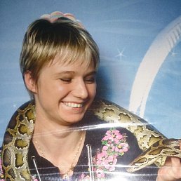, 41 , 