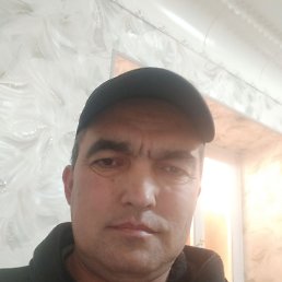 ���� �������, ������, 43 ���� - ��������� 31 ������� 2025