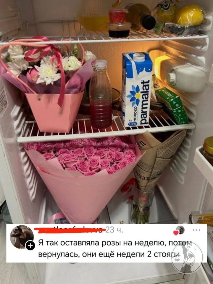 � �������� �������� ������������ ������� �������: ����� ����� ������ ��������� ������, ��� ������ � ...