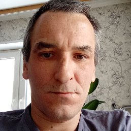 ������, ���, 41 ���