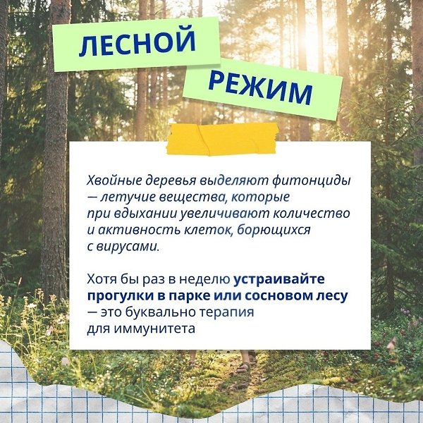��������� � ����� � 5 ������� ��� ����. � ������������ ����� �� �� ������ ������� �������� �� ... - 5