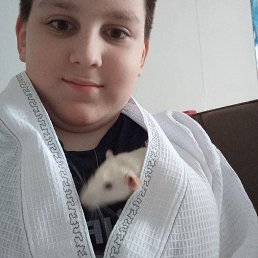 , 17, 