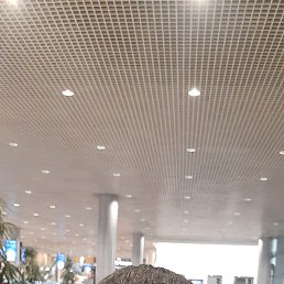 , 41, 