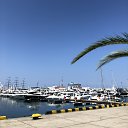 ���� ����, ���������, 42 ���� - ��������� 12 ������� 2024 � ������ ���� ����������