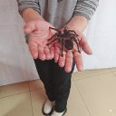 ���� ���, ������ ��������, 44 ���� - ��������� 23 ����� 2026 � ������ ���� ����������