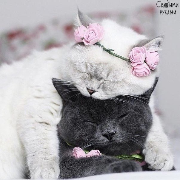 �������� ���������� - 5