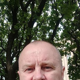 , 53, 