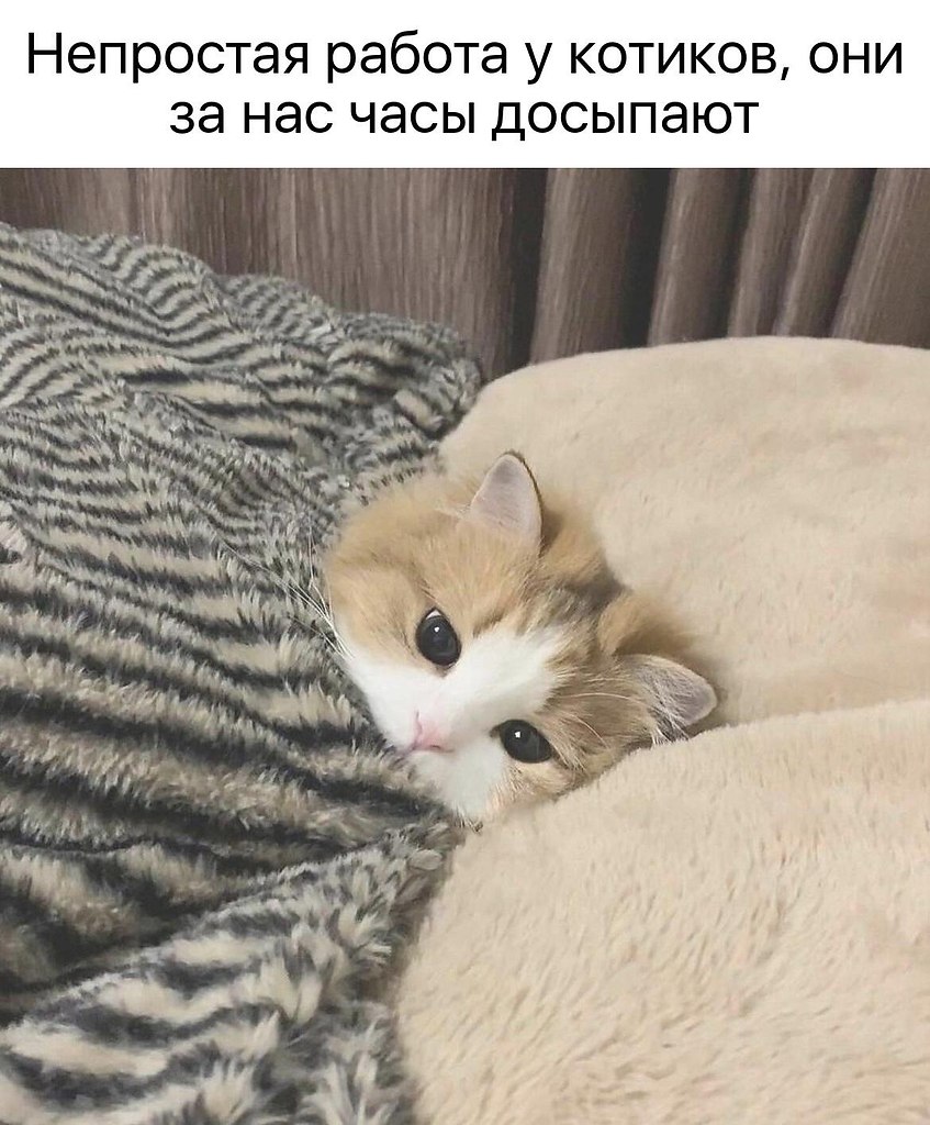    - 10  2024  16:28