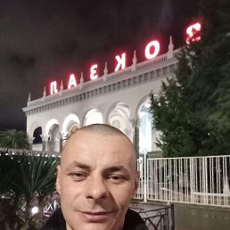 , 33, 