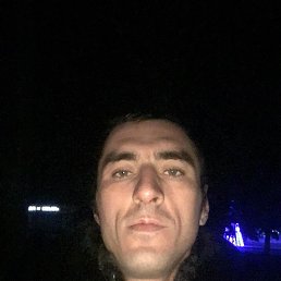 , 37, 