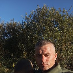 , 37 , 