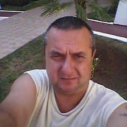 , 53 , 