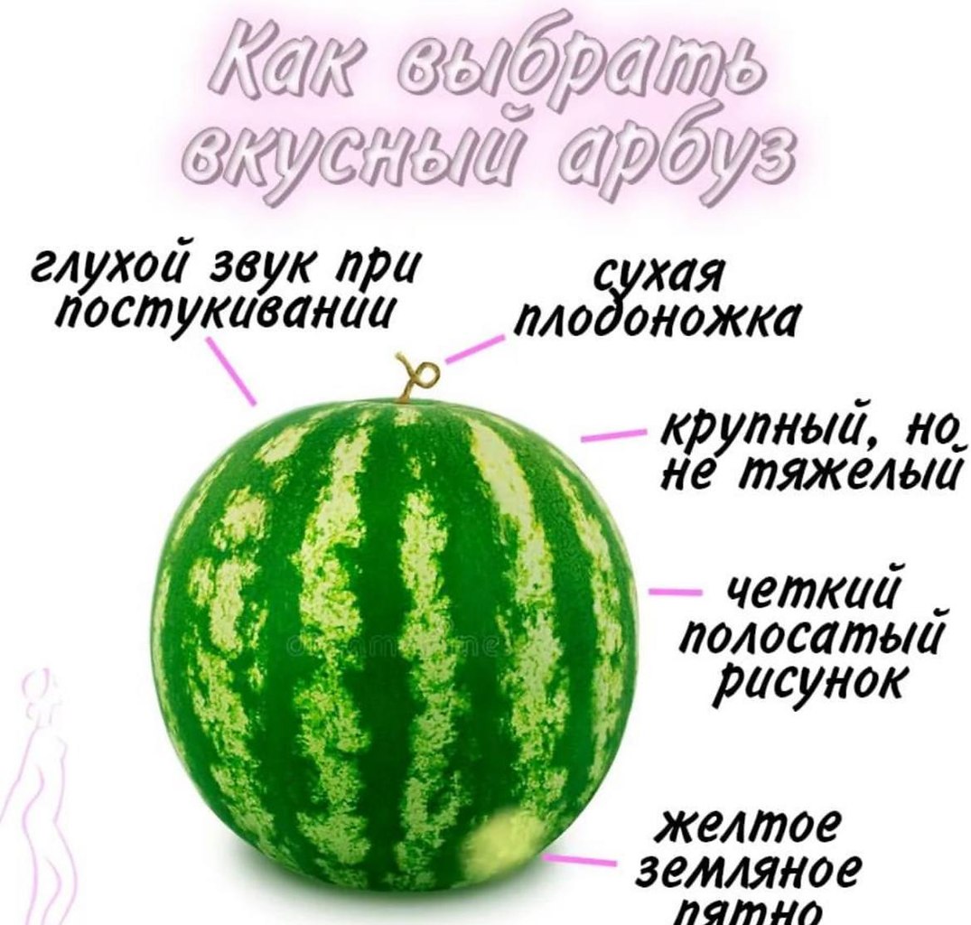   - 4  2025  14:19