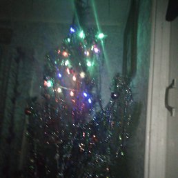 ������, ��������, 47 ���