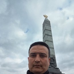 , 36, 