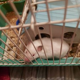 �, ������, 64 ����