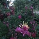 ���� ���� � �������� �� ���������� ..., ����� - ��������� 21 ���� 2025 � ������ ���� ����������