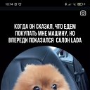  , -, 46  -  30  2024    