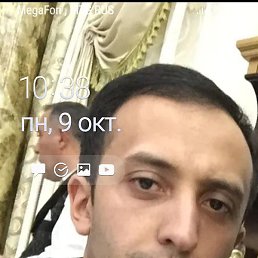 ������, �����������, 41 ���