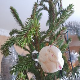 �����, ������, 55 ���