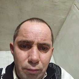 ����, 40 ���, �����