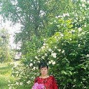 ������� �����, 40 ���, ������