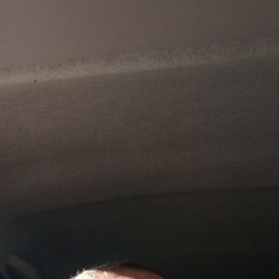 , 46 , 