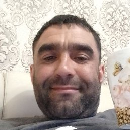 ���������, �������, 40 ���