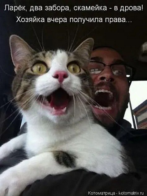 �� ����� - ������������� ������ �1 - 22 ������� 2025 � 20:50