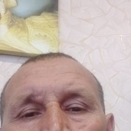 , 46, 